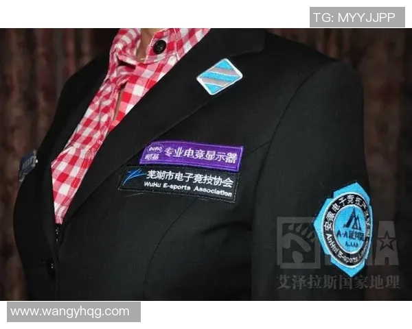 电子竞技裁判专业化认证体系的构建与面临的挑战分析