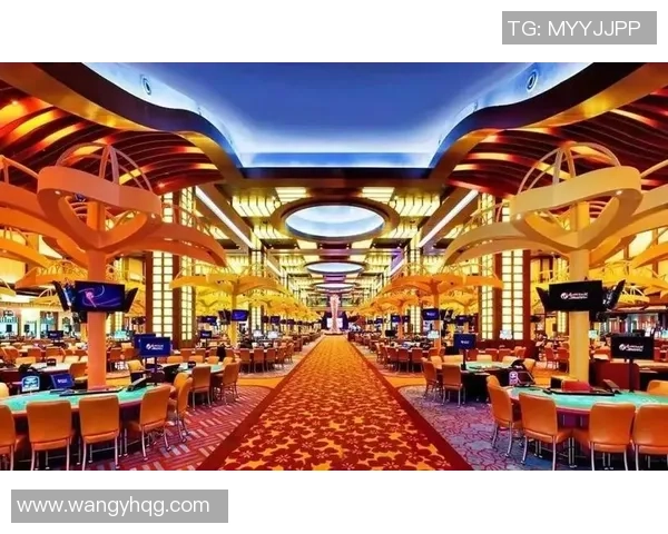 特殊场所博彩业务探讨邮轮赌场与机场赌场的独特魅力与挑战