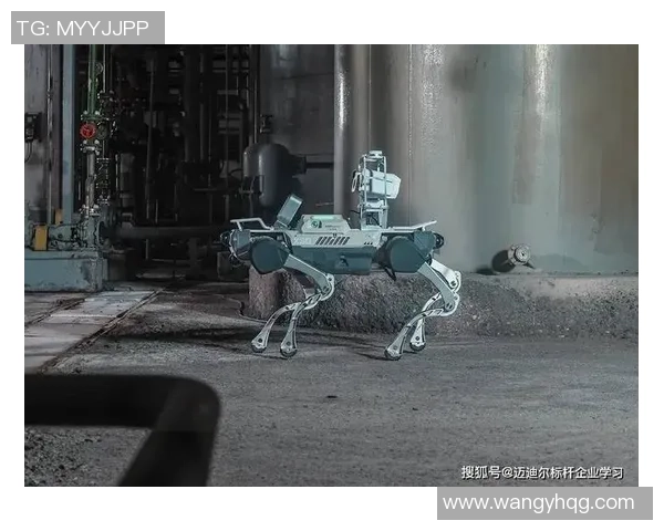 钢铁巨兽齐聚一堂世界机器人格斗大赛引爆科技竞技新热潮 钢铁巨兽齐聚一堂世界机器人格斗大赛引爆科技竞技新热潮